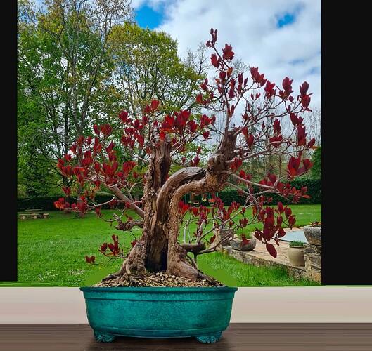 ___________DSCN01virt1-5