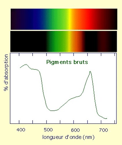 pigment chloro