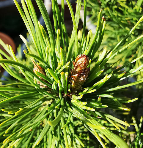 IMG_20260305_102553_edit_377390558859600