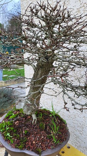 20251224_155401_resized