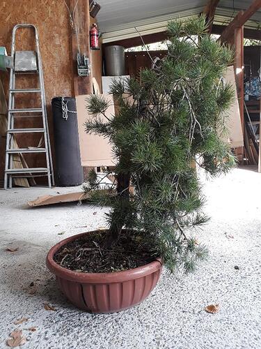 Resized_20210908_122749_3518