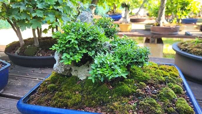 20250622_092818_resized