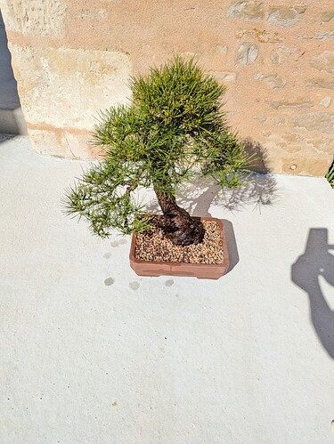 PXL_20250318_102253600