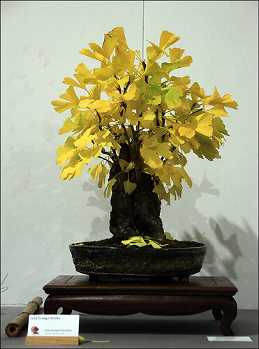 2024.10.20(14)copie1