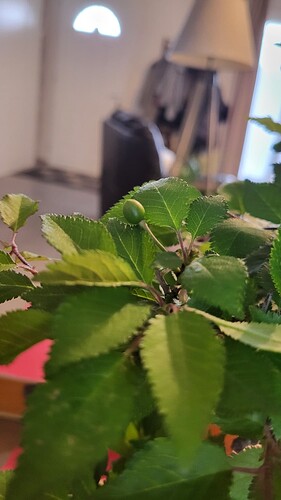 20250419_163525_resized