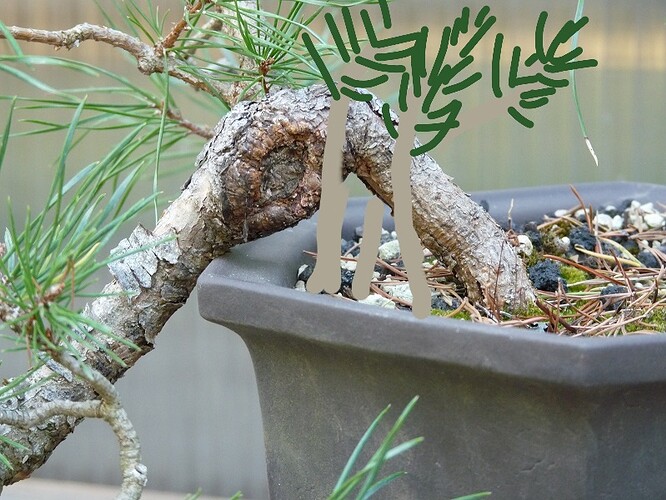 2025-11-24-21-18-01-498