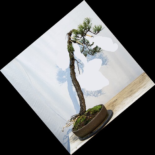 1a20f845f5d212005526e60fea11720dd7ceb11b