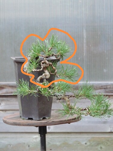 P1030421_edit_2471095708997