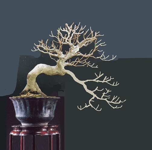 ___________DSCN01-1virt2