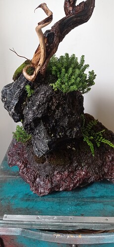 IMG_20250831_103859
