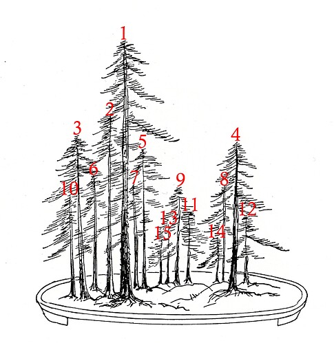 Foret numérotee