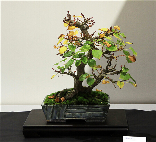 2024.10.20(13)copie1