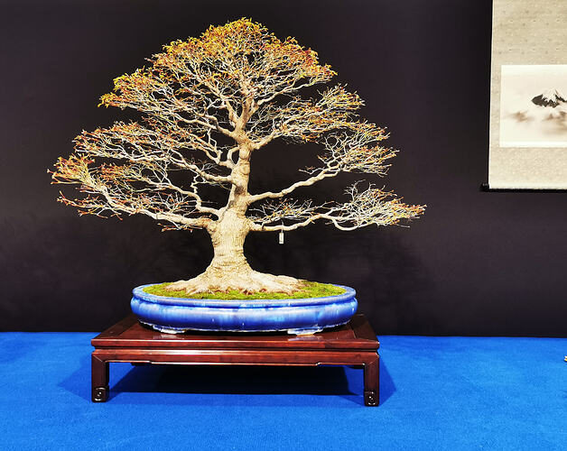 IMG_20260228_114935_edit_182810246052312