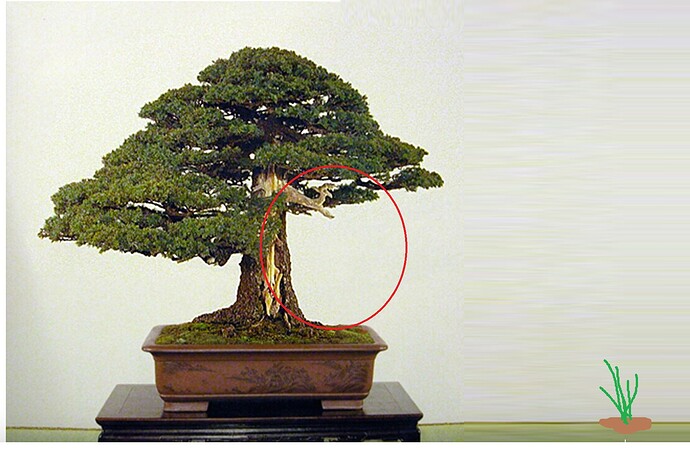 ___________DSCN01-1virt2