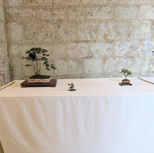 PXL_20250524_154425953~2