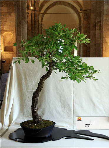 2025.05.24(12)copie1