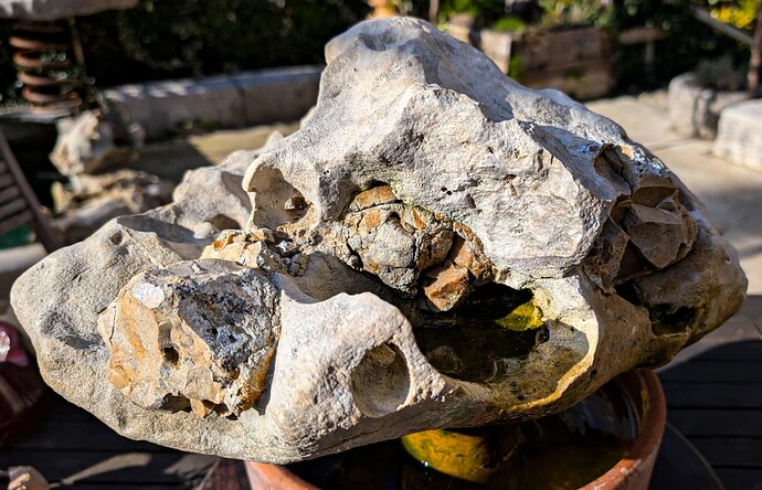 roche aquatique (2 sur 4)