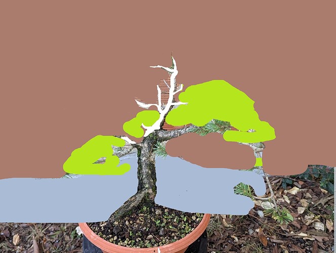 ___________DSCN01virt3