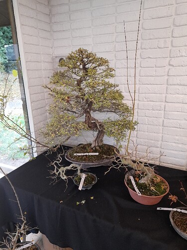 8eab78cc-0588-4607-9888-5b83aa7a17d9-copied-media~2