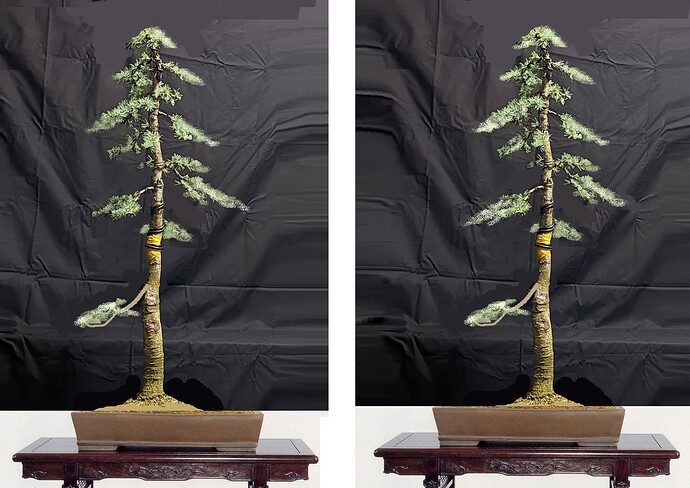 ___________DSCN01-1virt0