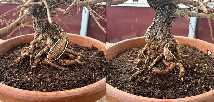 ___________DSCN01-01