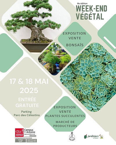affiche1 Marcoussis