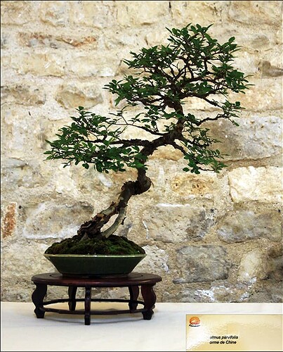 2025.05.24(91)copie1