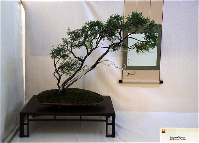 2025.05.24(29)copie1