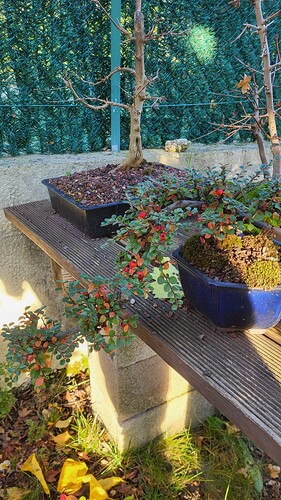 20251119_090743_resized