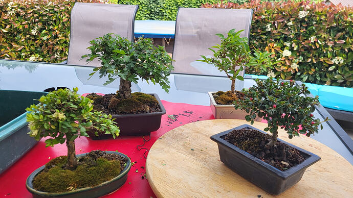 20260420_154315_resized