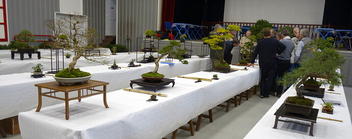 post-41267-0-69961200-1513181543