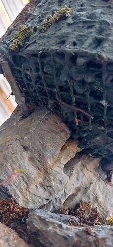 IMG_20250421_121637