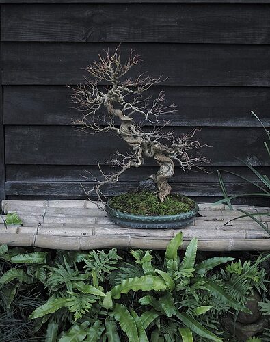 45306449_10212115244627617_8236920569832931328_n