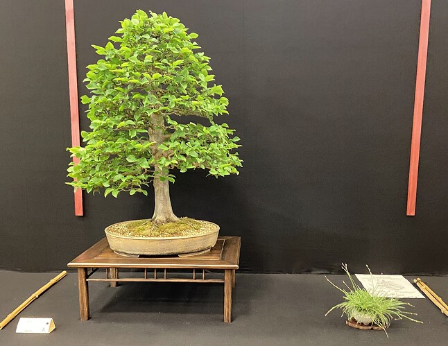 2 - Arbre - Philippe Levardon