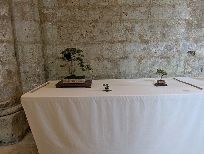 PXL_20250524_154425953