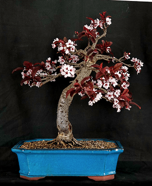 Capture d’écran 2025-11-10 à 18.48.01