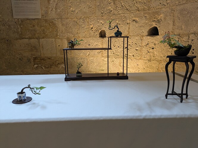 PXL_20250524_153325608