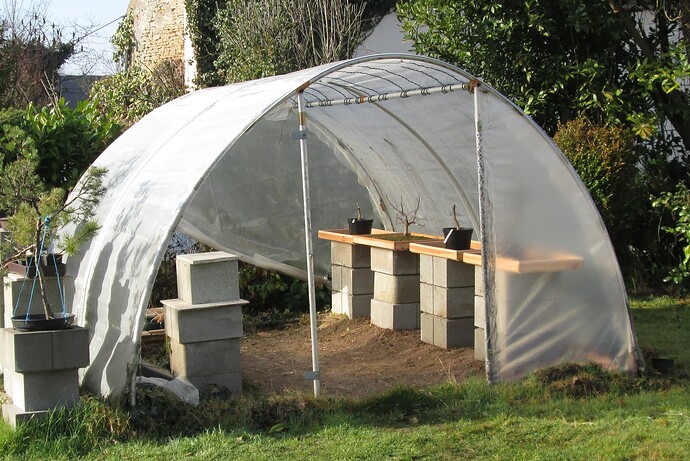 serre 2019 02 22 001