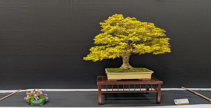 PXL_20260301_104002949