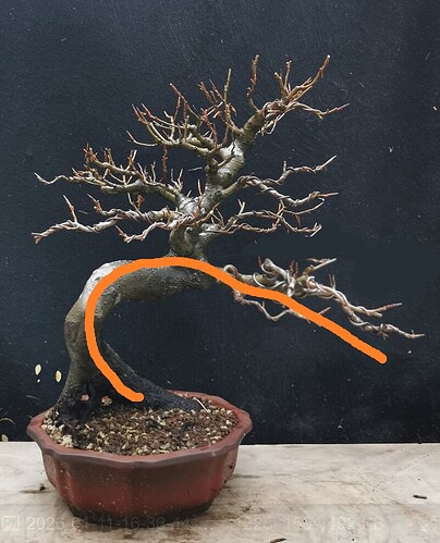 ___________DSCN01-1virt2