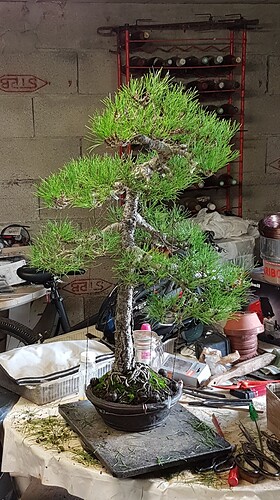 482383600_639361489252058_2904270388256460416_n