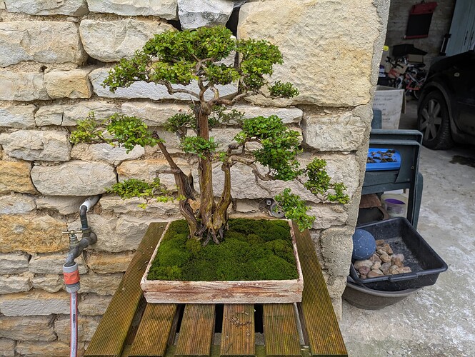 PXL_20250521_172810563