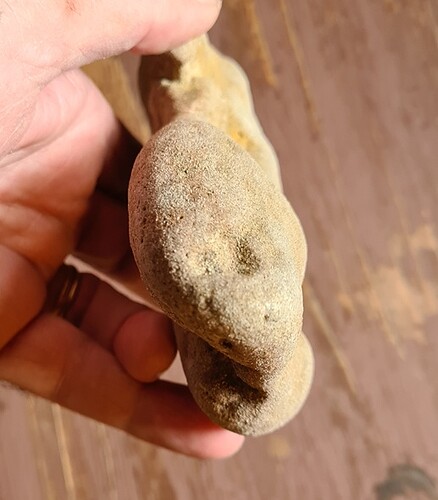 suiseki extrémité base