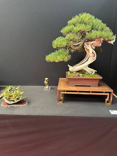 548195117_1420229866777327_8110710943100203124_n