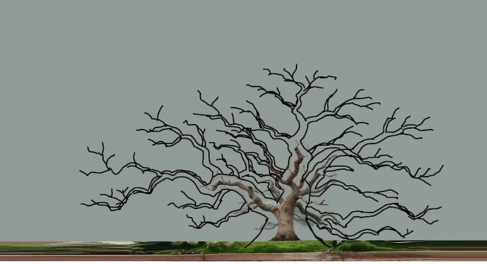 acer palmatum beni tsukasa 2020 11 09 004virt4