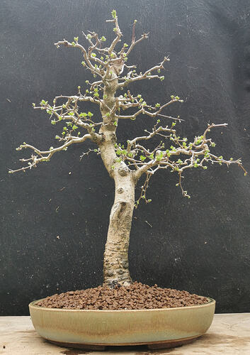 2026-03-15-15-29-00-253