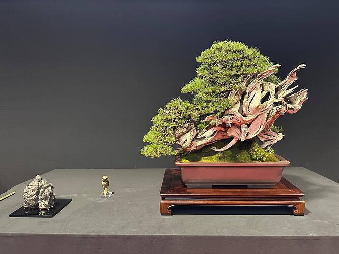 552101329_1420229710110676_8158532555262639013_n