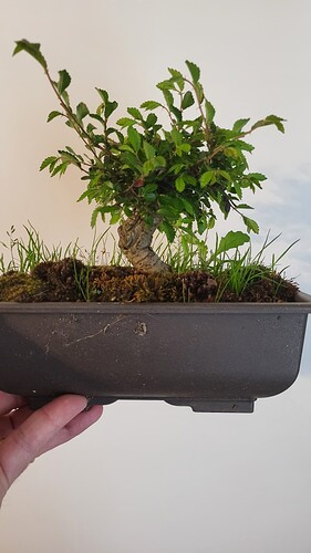 20250419_151005_resized