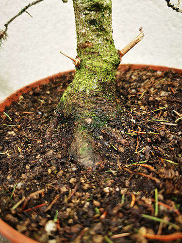 IMG_20260113_104110