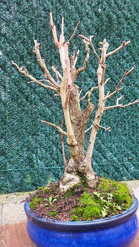 20251224_155630_resized